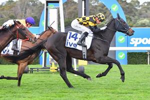 ITHADTOBEZOU INCHES ZOUSTAR CLOSER TO RECORD